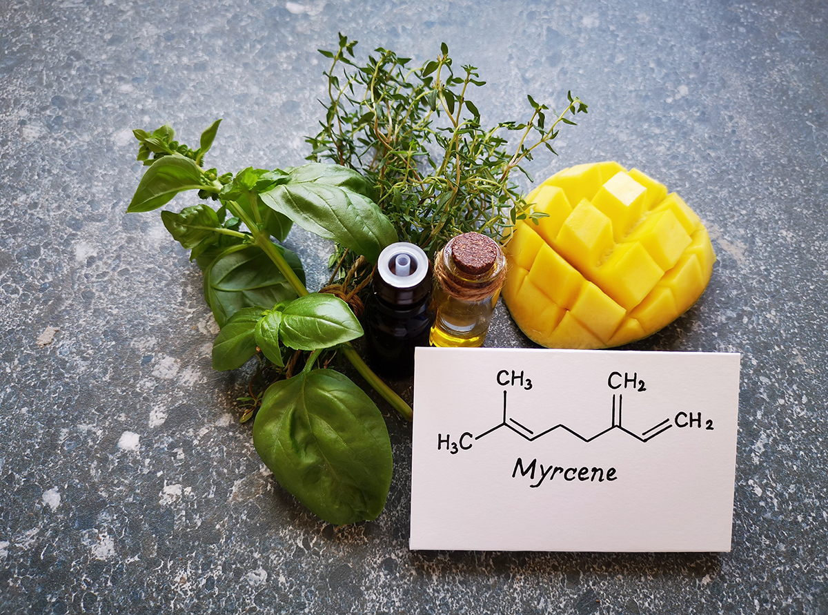 Structural chemical formula of myrcene with green basil leaves,