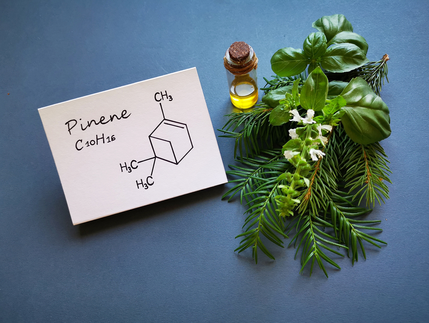 Structural chemical formula of pinene with essential oil in a gl